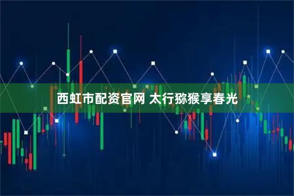 西虹市配资官网 太行猕猴享春光