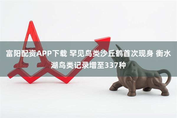 富阳配资APP下载 罕见鸟类沙丘鹤首次现身 衡水湖鸟类记录增至337种